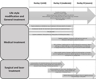 Hidradenitis Suppurativa: Current Understanding of Pathogenic Mechanisms and Suggestion for Treatment Algorithm